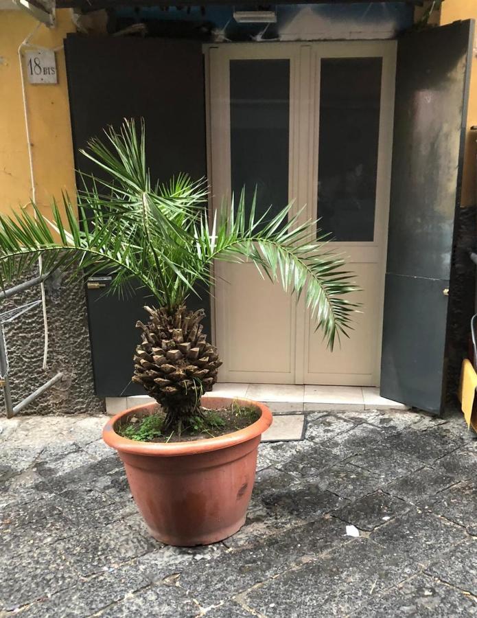 Graphite House Apartment Napoli Bagian luar foto